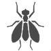 Los Angeles Fly Control | Pest Control