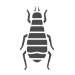 Los Angeles Flea Control | Pest Control