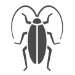 Los Angeles Cockroach Control | Pest Control