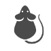 Los Angeles Rat Control | Pest Control