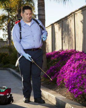 American Rat Control Inc.® Pest Control Services in Los Angeles